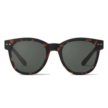 Izipizi #N Sun Tortoise